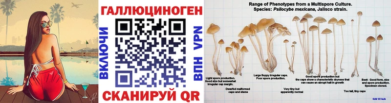 как найти   МЕГА ссылка  Псилоцибиновые грибы Cubensis  Хилок 